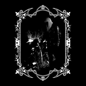 Secluded Tower 的头像