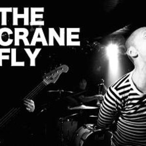 Bild för 'The Crane Fly'