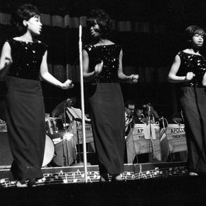 The Honey Bees 的头像