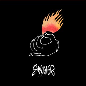 Saccage