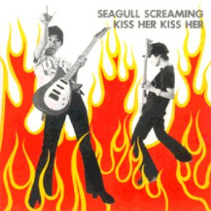 Seagull to Hell