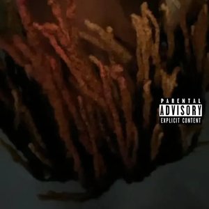 need nobody - Single