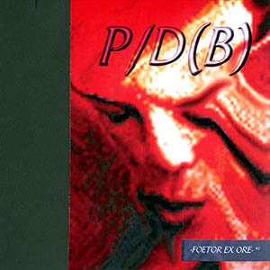 P/D(B) 的头像