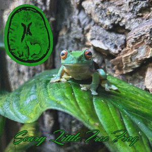 Scary Little Tree Frog