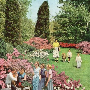 Spring in Toronto - Single