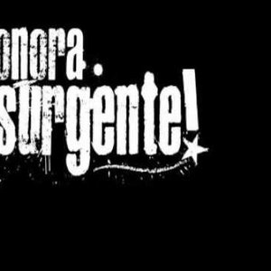 Sonora Insurgente 的头像