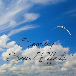 Soaring Sound Effects