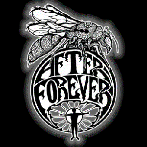 Image for 'After Forever (USA)'