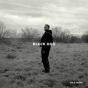 Black Dog [Explicit]