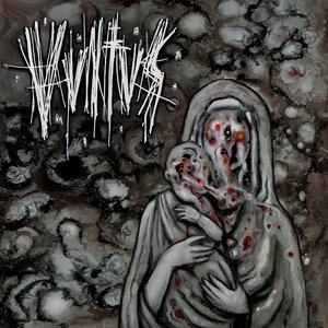 Vvltvs 的头像