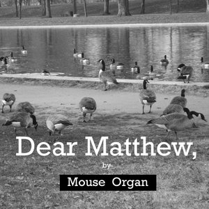 mouse organ 的头像