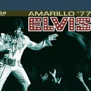 Elvis Presley - Jailhouse Rock Man In Concert - Zortam Music