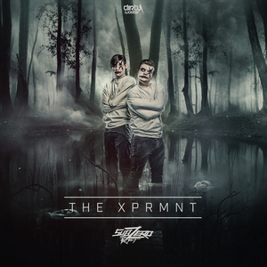 Sub Zero Project - The XPRMNT - Zortam Music