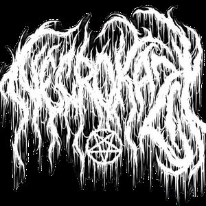 NECROKAZII 的头像