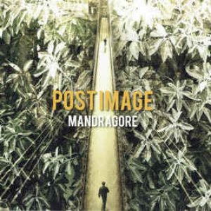 Mandragore