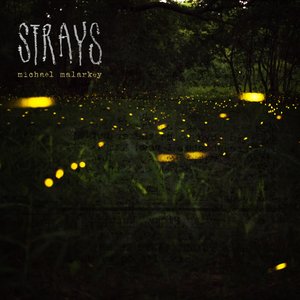 Strays