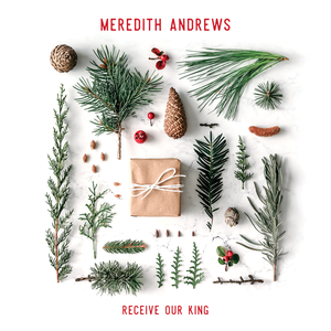 Meredith Andrews - Come Thou Long Expected Jesus Lyrics - Zortam Music