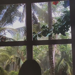 Jatchi 的头像