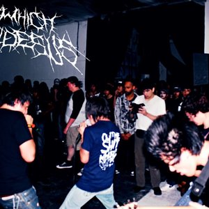 Avatar for In Which Divides Us