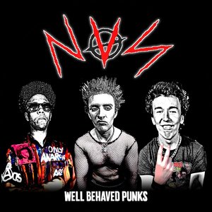 Well Behaved Punks