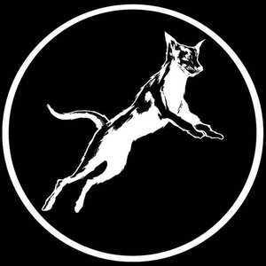 Stray Dogs: the Thkh Joints and Other Rarities