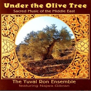 Under the Olive Tree