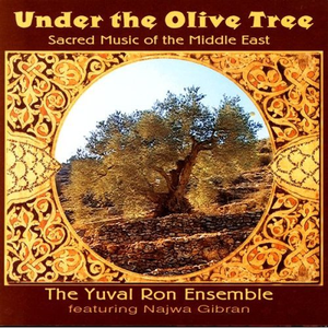 Under The Olive Tree cover