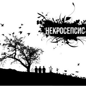 “Некросепсис”的封面