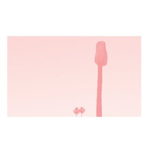 A Ravishment of Mirror (expanded)