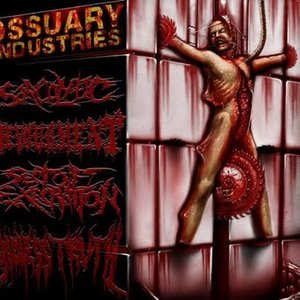 Devourment & Sect Of Execration & Godless Truth & Sarcolytic 的头像