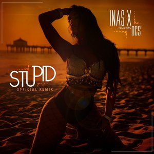Stupid (Remix)