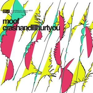 Crashandillhurtyou