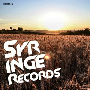 Sun Space