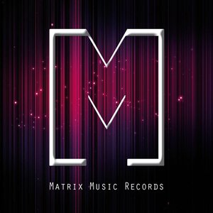 Avatar for Perfect Needle Corp.