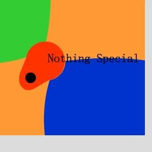 Image for 'Nothing Special'