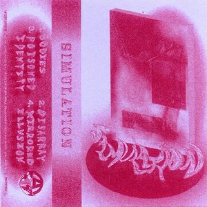 Simulation