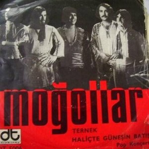 “Ternek & Haliç'te Güneşin Batışı”的封面