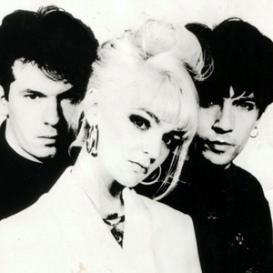The Primitives photo provided by Last.fm