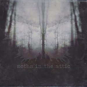 Moths in the Attic