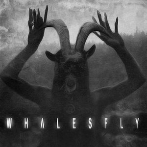 Image for 'WHΛLESFLY'