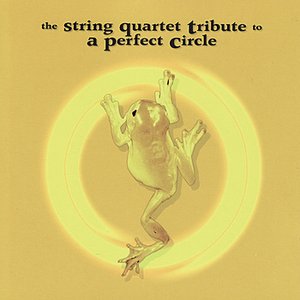 “The String Quartet Tribute to A Perfect Circle”的封面