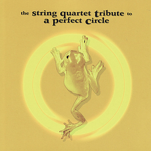 Vitamin String Quartet - The String Quartet Tribute To A Perfect Circle - Zortam Music