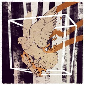 Carrier Pigeons - Single