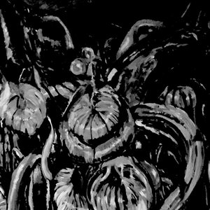 Demo II