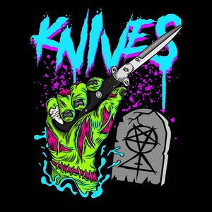 K N V S
