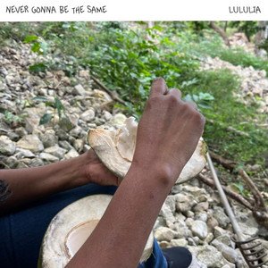 Never Gonna Be the Same - Single