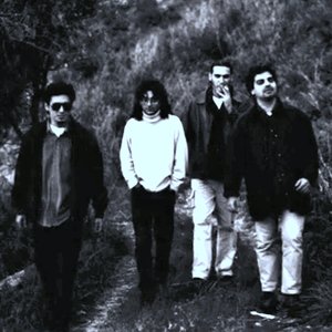 Аватар для Cuori Selvaggi