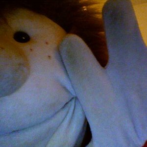Hikikomori 的头像