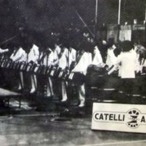 Don Catelli and the All Stars 的头像