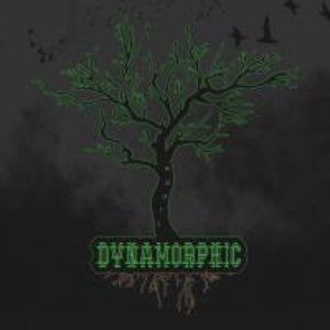 Dynamorphic 的头像